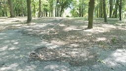 Lublin: Zmiany w parku akademickim UMCS. Kolejne alejki do remontu