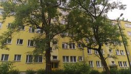 "Potrzeby mieszkańców to nie tylko parkingi". Bronią drzew przy ul. Pana Tadeusza w Lublinie