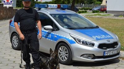 Podpalacz był już w domu. Pies doprowadził policjantów pod same drzwi