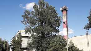 Ciepłownia przy ul. Składowej w Dęblinie od maja tego roku zarządzana jest przez państwową firmę związaną z gigantem gazowym, PGNiG. Jej przejęcie to efekt kłopotów finansowych poprzedniego dzierżawcy zakładu
