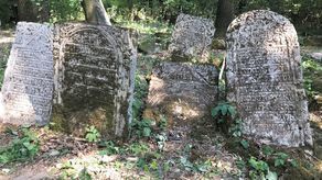 Wielkie porządki na kirkucie w Szczebrzeszynie. "Każda para rąk do pracy się przyda"