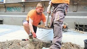 Lublin: Mieszkańcy wyprosili sobie drzewo