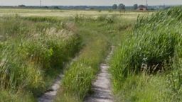 Wypadek pod Zamościem. Najechał na człowieka leżącego w trawie