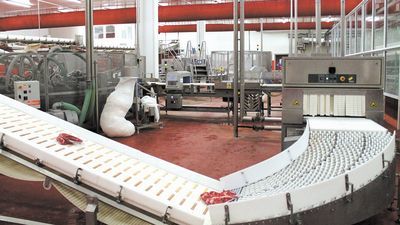 Zakłady mięsne w Końskowoli należą do najnowocześniejszych w kraju. To jednak nie zmienia fatalnej sytuacji firmy
