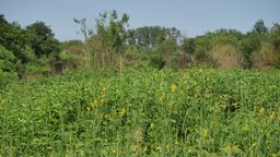 Bloki na górkach czechowskich? Do wojewody trafiają prośby o unieważnienie studium
