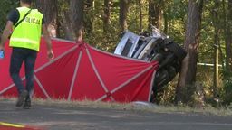 Tragedia na drodze. Samochód uderzył w drzewo, cztery osoby nie żyją [wideo]