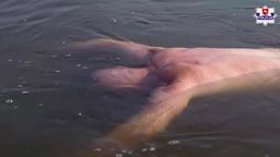 Takich przypadków jest zbyt wiele. Zamojska policja chce zmusić do myślenia [wideo]