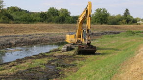 Dlaczego ogołocili brzeg Bystrzycy z roślinności? Wody Polskie tłumaczą, że musiały