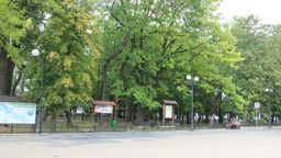 Ze skweru zniknie ponad 70 drzew 