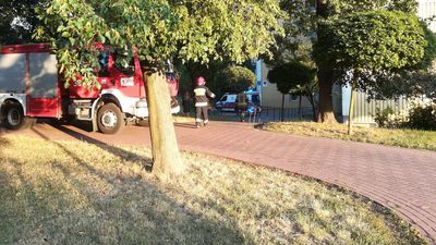 Policja i strażacy na ul. Wileńskiej. W mieszkaniu znaleziono ciało kobiety