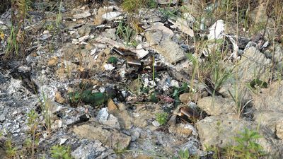 Na nielegalnych wysypiskach biegli przeprowadzili odwierty. Okazało, że odpady zawierają śmiertelnie groźne trucizny i związki rakotwórcze. Toksyczne odpady nigdy nie zostały z ziemi usunięte.