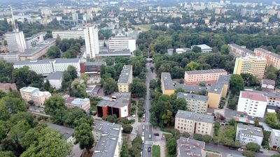 Obecnie jezdnia ul. Sowińskiego ma trzy pasy ruchu. Budowa czwartego wymagałaby poszerzenia jezdni, co wiązałoby się z wycinką drzew