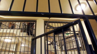 Lubartów: Znęcał się nad żoną i córką. Teraz trafił do aresztu