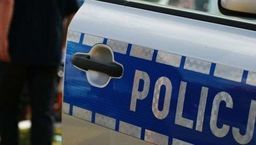 31-latek wrzucił kota do kojca z psem. Zwierzę nie przeżyło 