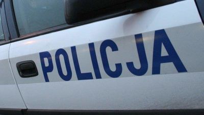 Pijaństwo i wykroczenia. Straż Miejska w Zamościu podsumowała półrocze