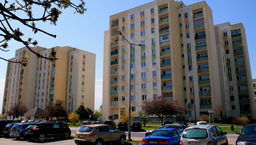 Martwe dusze przy klatkach schodowych. "Część nazwisk należy do osób, które od dawna nie żyją"