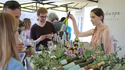 Kazimierskie winobranie