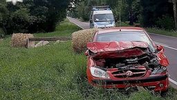 Niecodzienny wypadek w gminie Wierzbica. Pod samochód wpadł koń ciągnący wóz