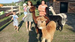 To bardzo mądre zwierzęta. Rozpoznają twarze i kolory, szybko się uczą. Na przykład woziliśmy je na zajęcia do przedszkola. Po jednym razie, same już wskakiwały do auta. Umieją nawet chodzić po schodach - opowiada pani Natalia