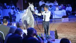 Pride of Poland 2019. Sprzedano konie za prawie 1,4 mln euro. Najdroższa Galerida [zapis relacji]