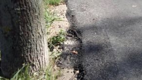 Uwagi odnośnie ścieżek ma również stowarzyszenie Biała Samorządowa 