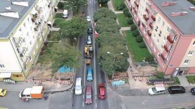 Prezydent zapewnia, że przebudowywana jezdnia zmieści się między szpalerami drzew
