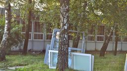 To zdjęcie (i kilka innych), według zaniepokojonych mieszkańców dowodzi zagrożenia dla drzew. Według urzędników wcale nie dowodzi
