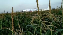 Awaryjne lądowanie Airbusa na polu pod Moskwą. Ranne 23 osoby [wideo]