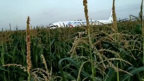 Awaryjne lądowanie Airbusa na polu pod Moskwą. Ranne 23 osoby [wideo]