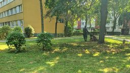 Lublin: Warkot kosiarek codziennie od godz. 7.30. Mieszkańcy mają dosyć [wideo]