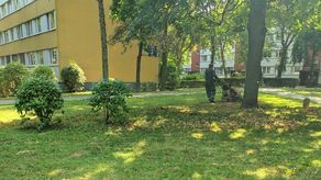 Lublin: Warkot kosiarek codziennie od godz. 7.30. Mieszkańcy mają dosyć [wideo]