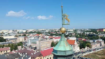 Prezydent chce podnieść o ok. 10 proc. stawki opłat za postój w Strefie Płatnego Parkowania