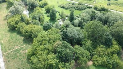 Lublin: Nowy park ma być sześć razy większy od Ogrodu Saskiego. Kończą się konsultacje społeczne