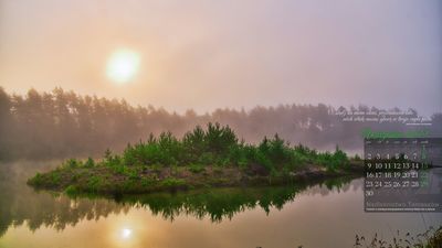 Nadleśnictwo Tomaszów Lubelski pokazuje urodę swoich lasów [zdjęcia]