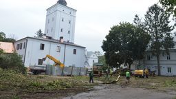 Drzewa przegrały z fortyfikacjami. Wycinka w Parku Radziwiłłowskim w Białej Podlaskiej