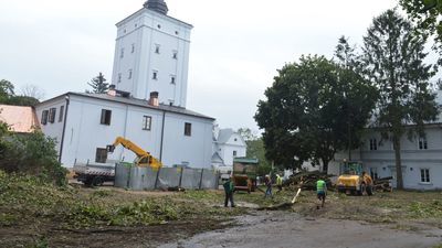 Drzewa przegrały z fortyfikacjami. Wycinka w Parku Radziwiłłowskim w Białej Podlaskiej