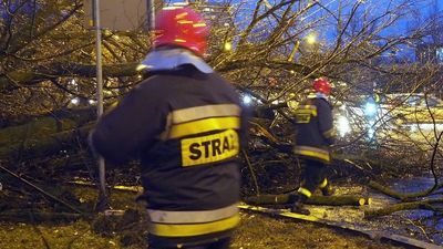 Wichury z deszczem przechodzą nad woj. lubelskim. Połamane drzewa i gałęzie