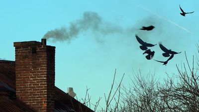 Lublin: Które dzielnice są bardziej narażone na smog? Komunikaty na wyświetlaczach