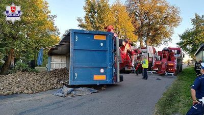 Za bardzo się rozpędził. Z przewróconej naczepy wysypały się buraki