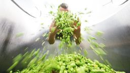 Uwarzyli ponad 100 rodzajów piw. Browar Zakładowy z Poniatowej bije rekordy