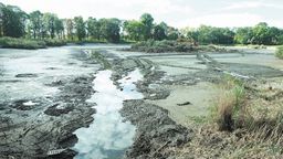 Z parkowego stawu spuszczono już wodę. Leżąca na środku wyspa zostanie zniwelowana