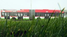 Zmiany w rozkładzie jazdy komunikacji miejskiej w Lublinie. M.in. trzy linie zmienią numerację