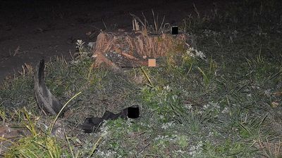 Lubelskie: Zobaczył leżącego przy drodze sąsiada. Szukają kierowcy, który go przejechał