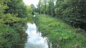 Lublin: Jaki powinien być park Nadrzeczny? Jest wstępna koncepcja