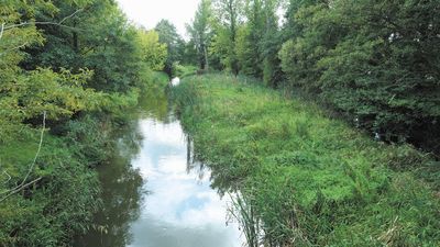 Lublin: Jaki powinien być park Nadrzeczny? Jest wstępna koncepcja
