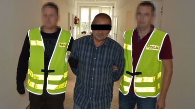 Seryjny włamywacz zatrzymany na granicy. Pomogły ślady DNA 