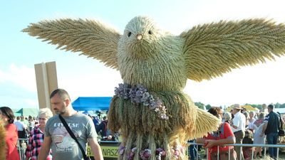 Zwycięski wieniec autorstwa KGW Wojszyn z gminy Janowiec (kat. wieniec współczesny)