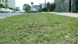 Trawa na ul. Kryształowej ma zaledwie kilka centymetrów wysokości. W piątek pana z kosiarką nie spotkaliśmy, ale trawniki były świeżo skoszone