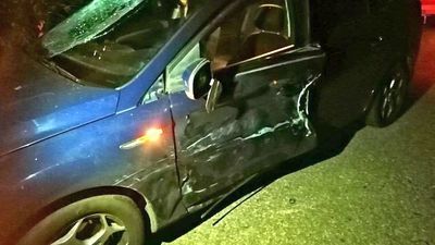 Dwa zniszczone samochody. Łoś po kolizji poszedł sobie dalej