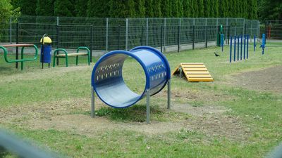 Wybieg dla psów jest ogrodzony, ma powierzchnię ok. 500 mkw